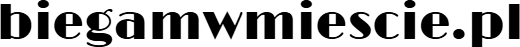 Logo biegamwmiescie.pl